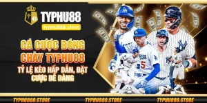 Cá cược bóng chày Typhu88 – Tỷ lệ kèo hấp dẫn, đặt cược dễ dàng