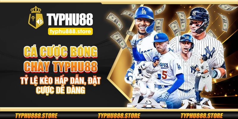Cá cược bóng chày Typhu88 – Tỷ lệ kèo hấp dẫn, đặt cược dễ dàng