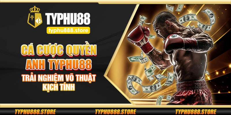 Cá cược quyền anh Typhu88 – Trải nghiệm võ thuật kịch tính