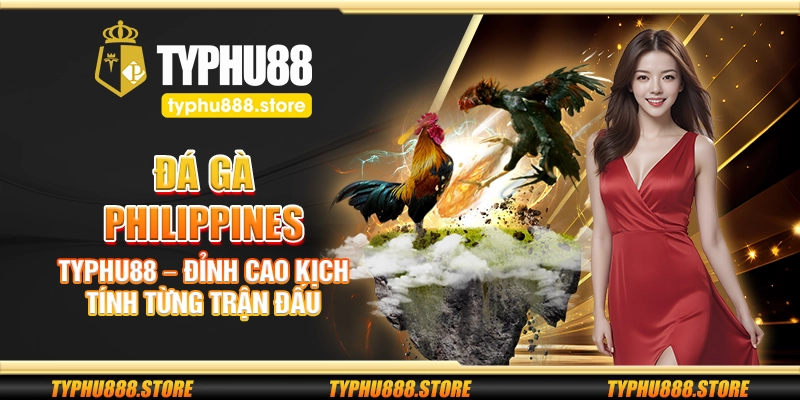 Đá gà Philippines Typhu88 – Đỉnh cao kịch tính từng trận đấu