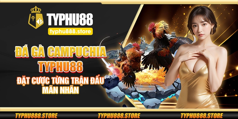 Các mẹo cược đá gà Campuchia dễ thắng cho anh em