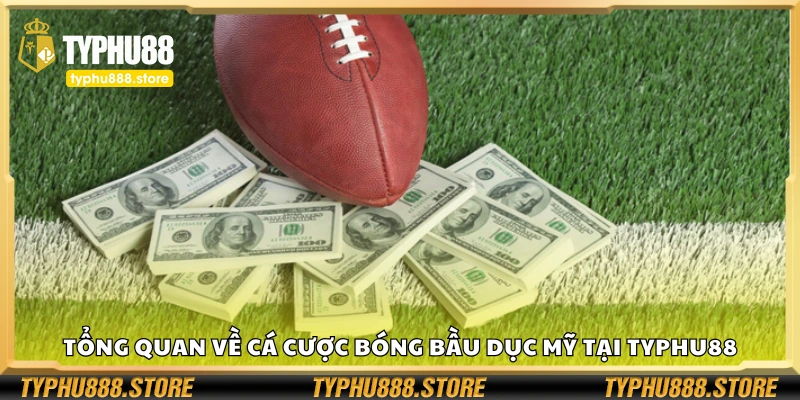 Sơ lược về cá cược bóng bầu dục Mỹ Typhu88