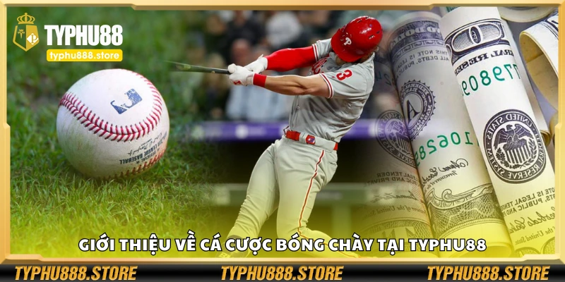 Tìm hiểu về cá cược bóng chày Typhu88