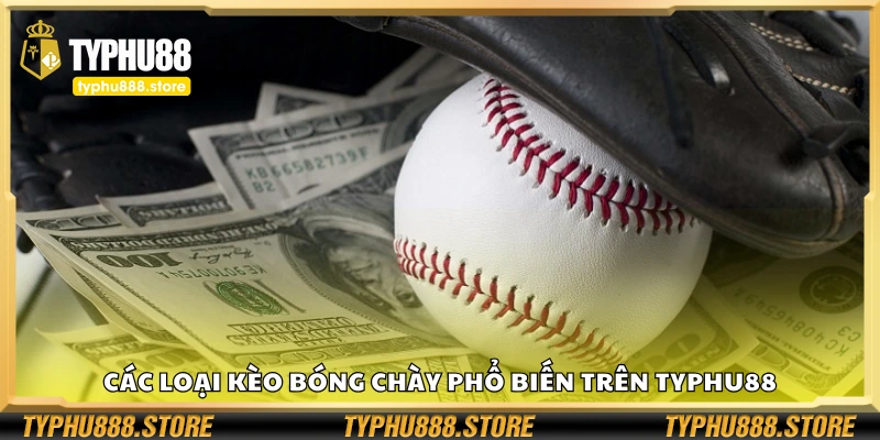 Các loại kèo bóng chày phổ biến trên hệ thống