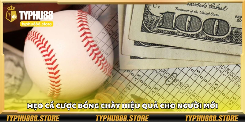 Các mẹo cá cược bóng chày hiệu quả cho người mới