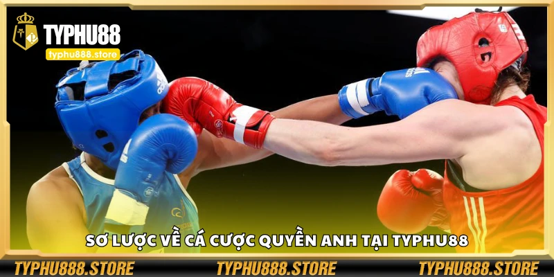 Sơ lược về cá cược quyền anh tại Typhu88