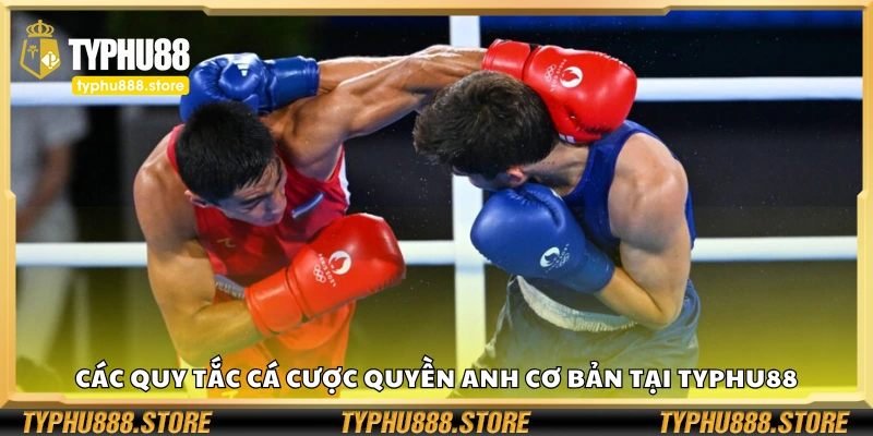 Các quy tắc cá cược quyền anh cơ bản tại hệ thống