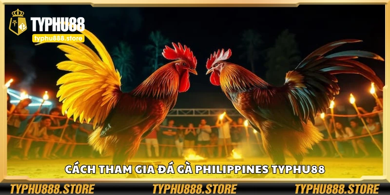 Hướng dẫn tham gia đá gà Philippines Typhu88