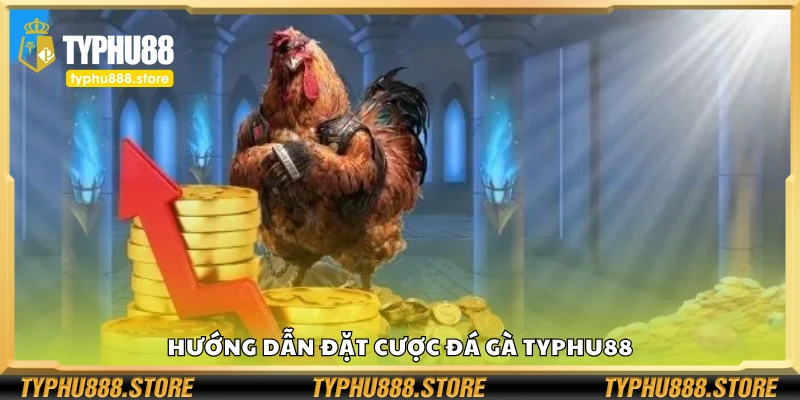 Chi tiết đặt cược đá gà tại Typhu88