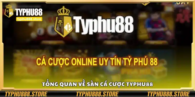 Giới thiệu về sàn cá cược Typhu88