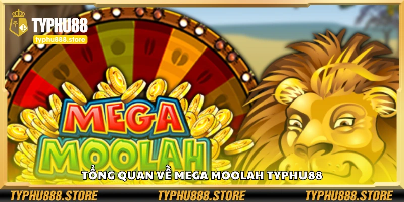 Vài nét về Mega Moolah Typhu88