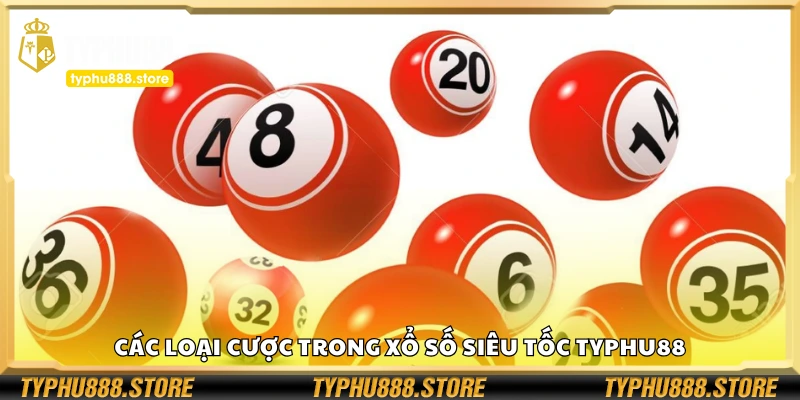 Một số loại cược trong xổ số siêu tốc Typhu88