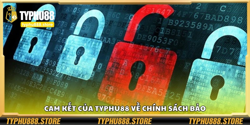 Cam kết của Typhu88 về chính sách bảo
