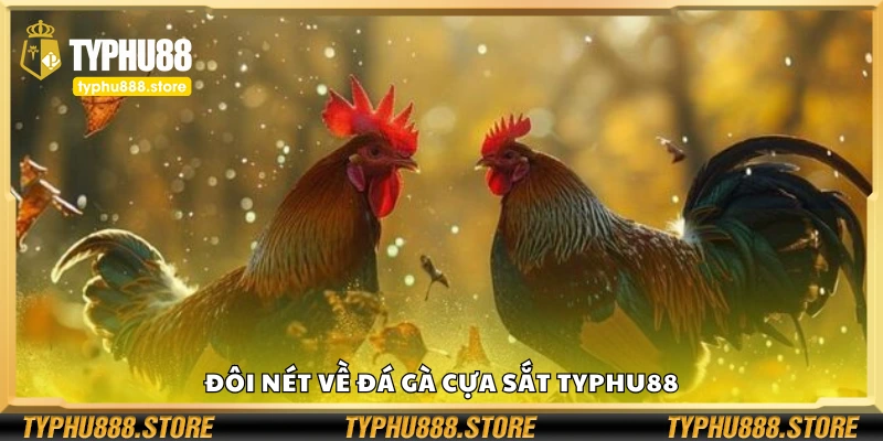 Khái quát về đá gà cựa sắt Typhu88
