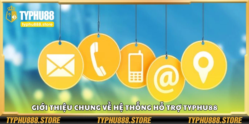 Tìm hiểu chung về hệ thống hỗ trợ Typhu88