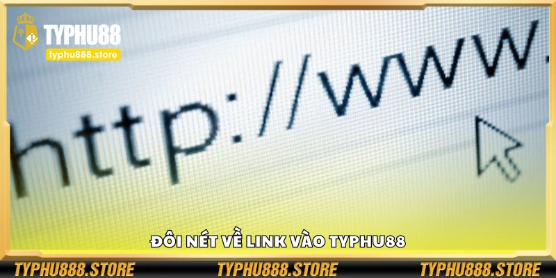 Tìm hiểu về link vào Typhu88