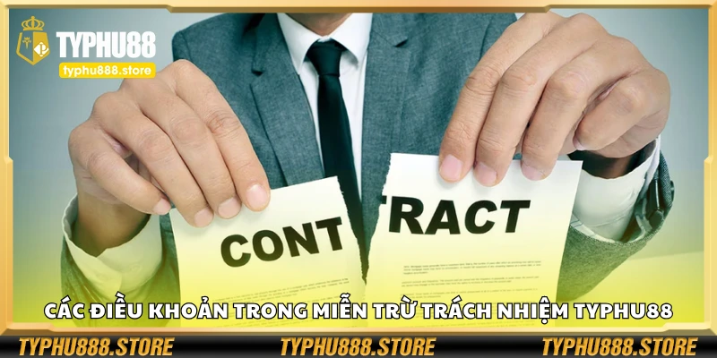 Điều khoản trong miễn trừ trách nhiệm Typhu88
